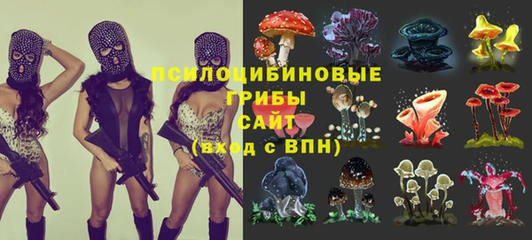 Альфа ПВП Волоколамск