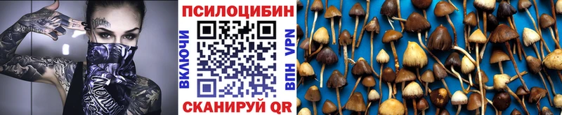 kraken ONION  Курган  Галлюциногенные грибы мухоморы  нарко площадка состав  купить закладку 